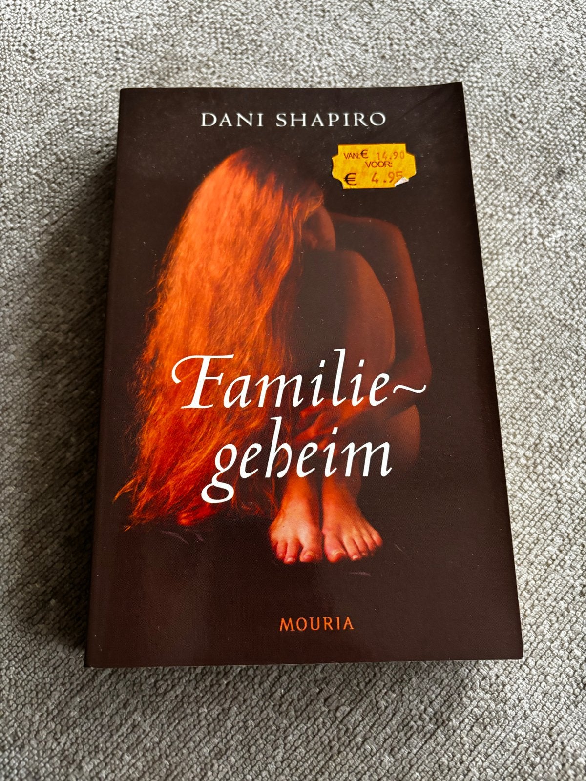 Familiegeheim - Dani Shapiro (roman), Ophalen of Verzenden, Zo goed als nieuw, Amerika