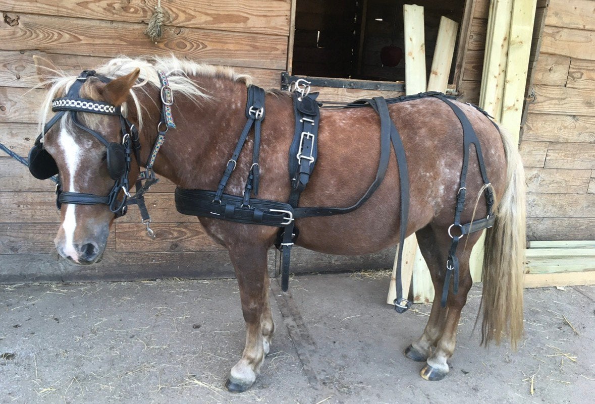 Mentuig maat shet/pony tjeu van de meulengraaf, Dieren en Toebehoren, Ophalen of Verzenden, Bit, Pony