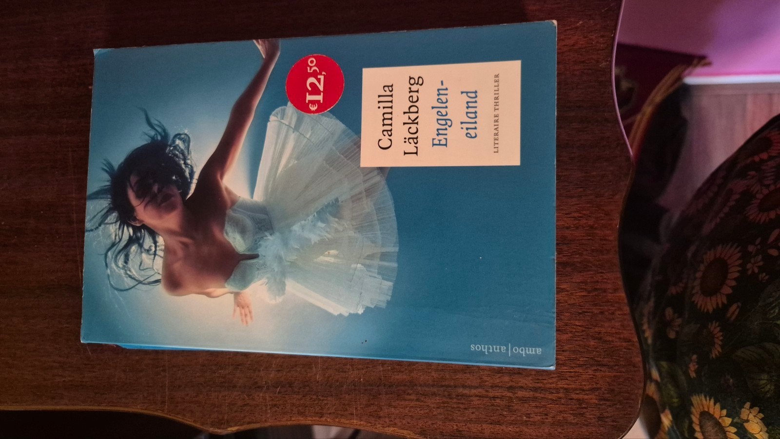Camilla Läckberg - Engelen-eiland (Literaire thriller), Boeken, Ophalen of Verzenden, Gelezen, Camilla Läckberg, Scandinavië