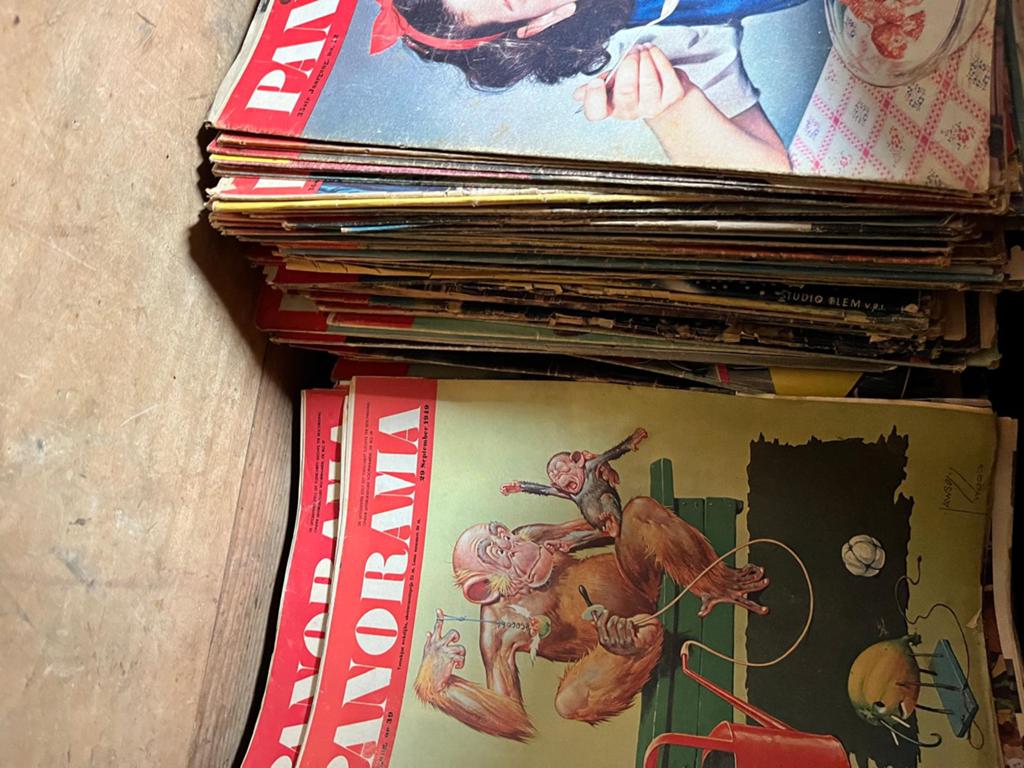 Panorama Jaargangen 1948-1952 - Zeldzame Vintage Tijdschrift, Boeken, Ophalen, Gelezen, Overige typen