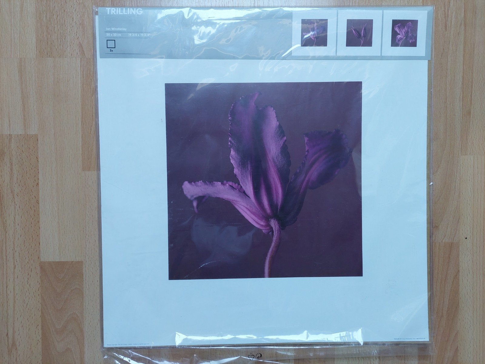 Drieluik paarse bloemen 50 x 50 cm, Ophalen, Nieuw, 50 tot 75 cm, Schilderij