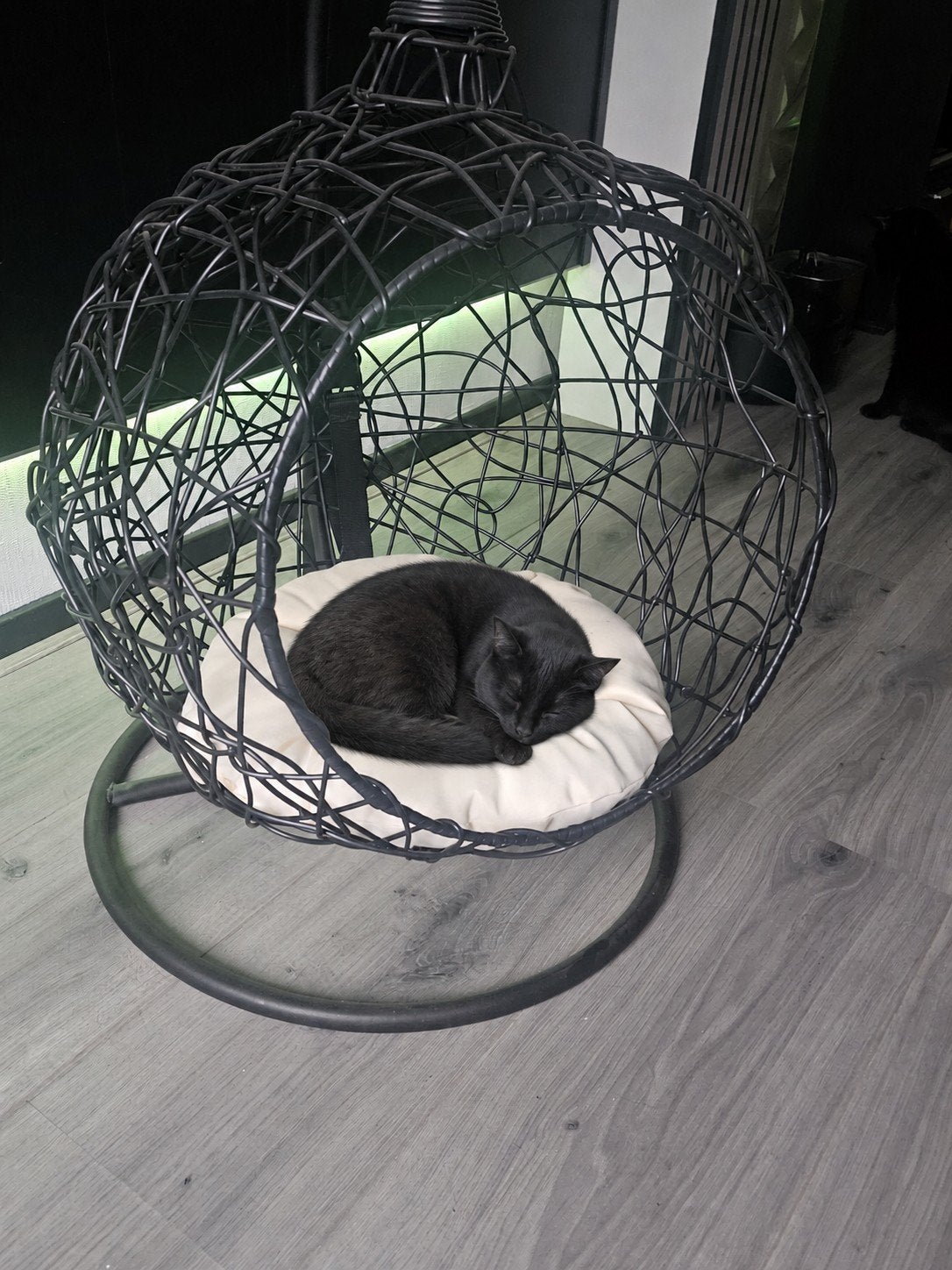 mini hangstoel swing voor katten of hond, Ophalen of Verzenden
