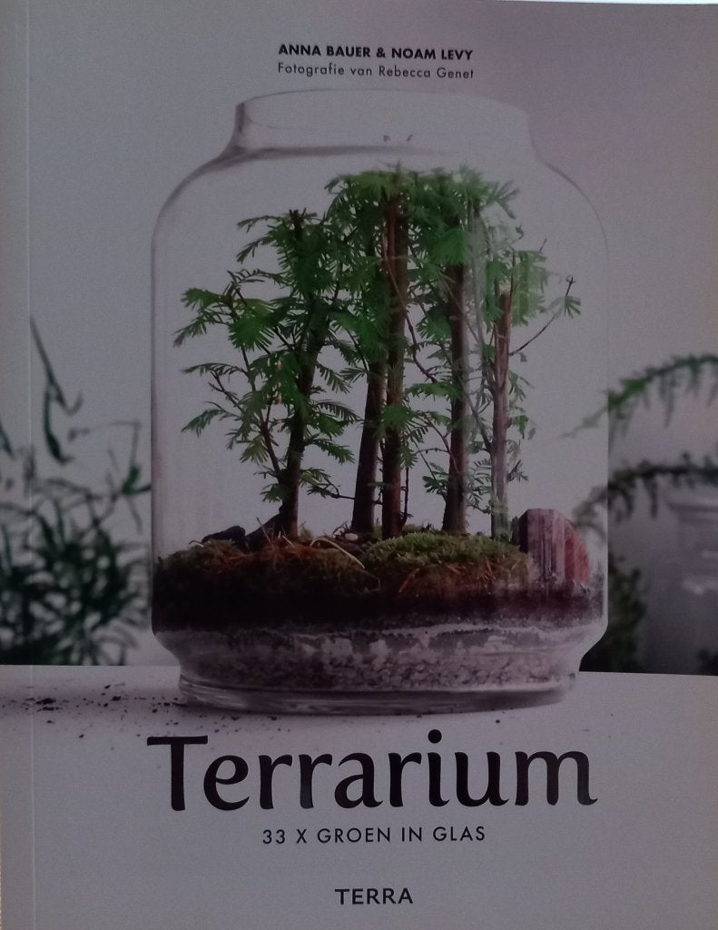 Terrarium 33 x groen in glas, Ophalen of Verzenden, Zo goed als nieuw