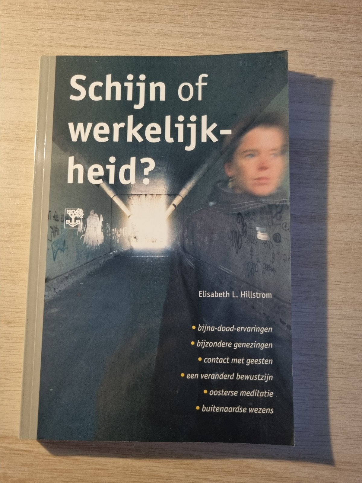 Schijn of werkelijkheid? Elisabeth L. Hillstrom, Gelezen, Ziel of Sterfelijkheid, Ophalen of Verzenden, Instructieboek