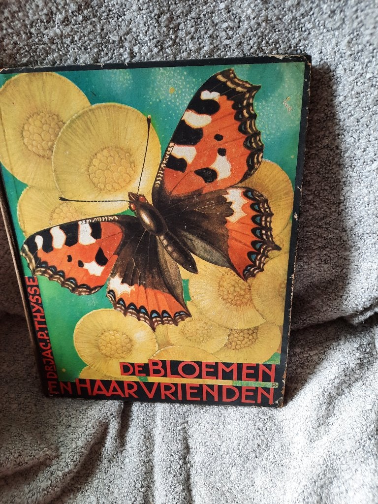 prentenboeken plaatjes, Boeken, Prentenboeken en Plaatjesalbums, Ophalen of Verzenden, Gelezen, J.P. Thysse