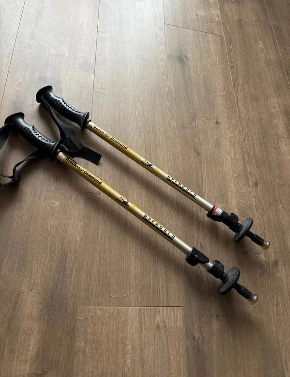2 bergwandelstokken, Ophalen of Verzenden, Verstelbaar, Gebruikt