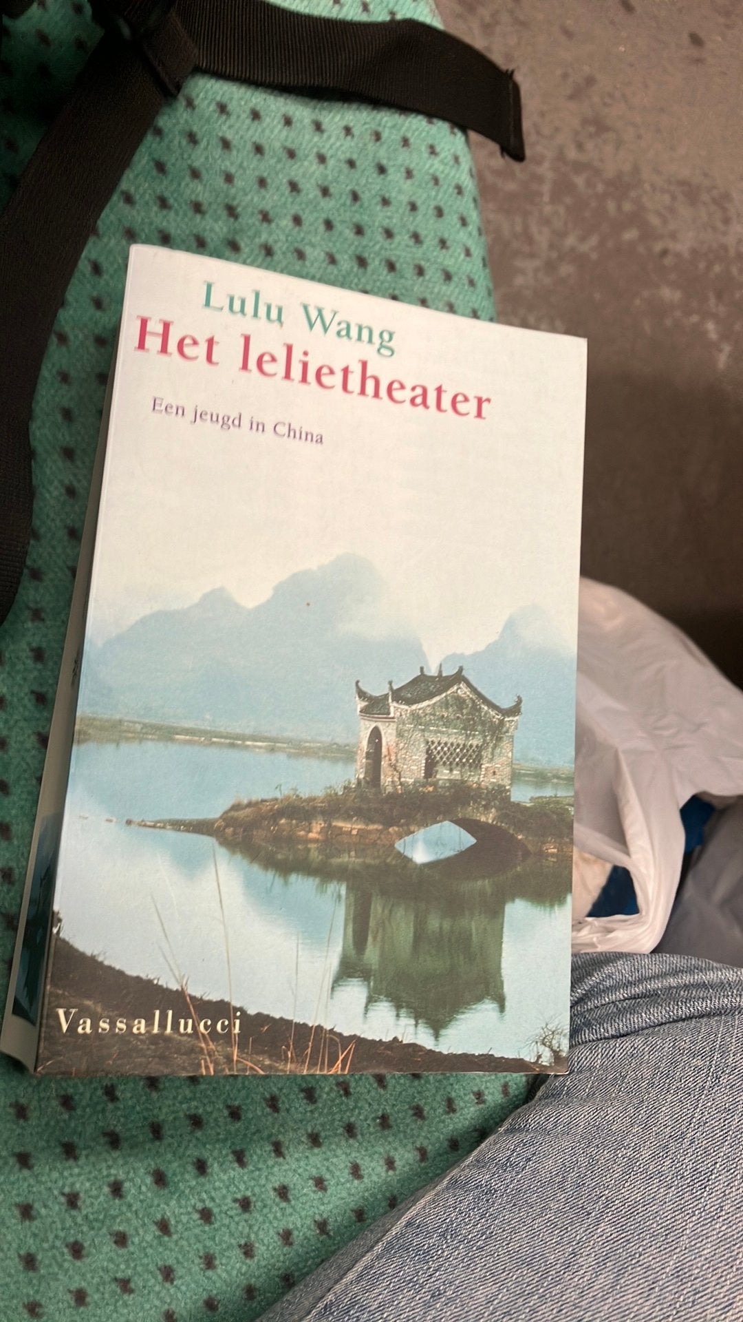 Het Lelietheater - Lulu Wang (Boek), Ophalen of Verzenden, Zo goed als nieuw, Nederland