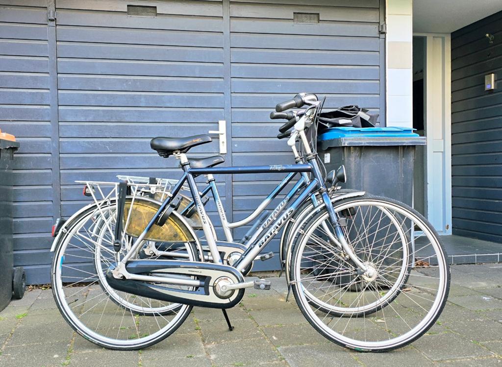 Batavus set fietsen
Wiel maat 28", Fietsen en Brommers, Fietsen | Dames | Damesfietsen, Ophalen, Zo goed als nieuw, Batavus