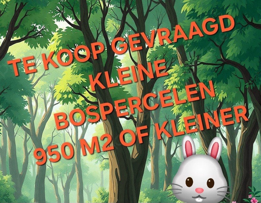 Gezocht kleine stukken bos minder dan 950 m2, Ophalen, Volle zon, Overige soorten, Minder dan 100 cm