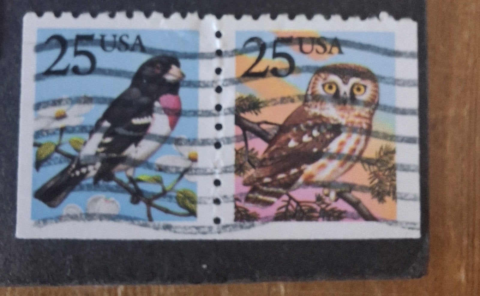 Usa 307, Ophalen of Verzenden