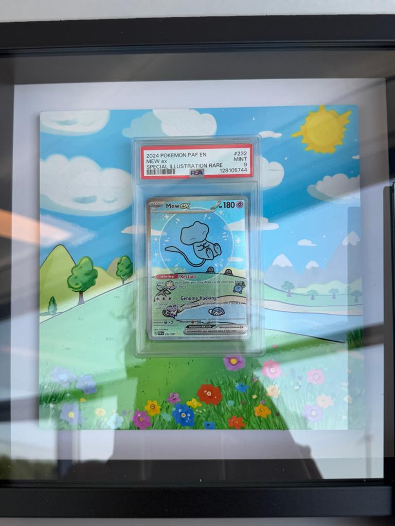 Pokémon Kaarten met Lijst - Mew, Pikachu, Blastoise, Ophalen, Zo goed als nieuw, Overige typen
