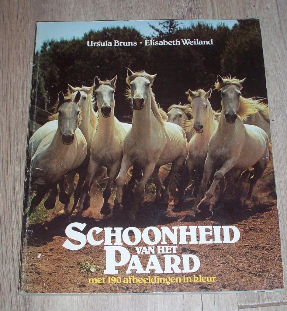 Schoonheid van het paard, Ophalen of Verzenden, Gelezen, Paarden of Pony's