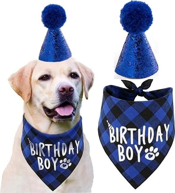 Honden verjaardags set blauw of rood