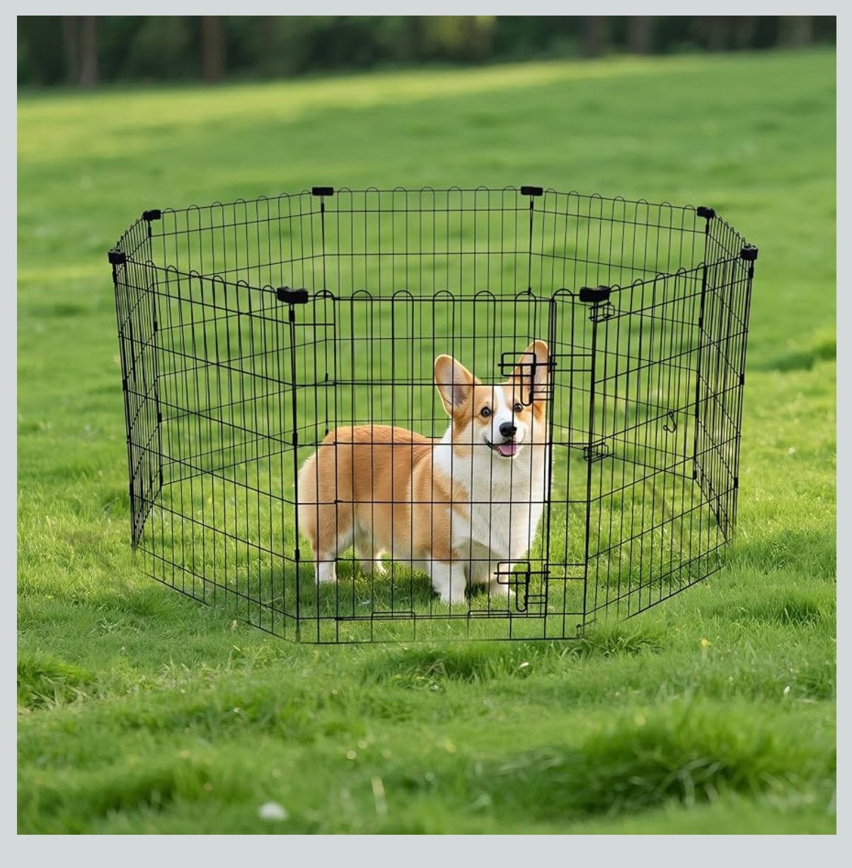 Speel unit voor honden, Dieren en Toebehoren, Ophalen of Verzenden, Zo goed als nieuw, 75 tot 110 cm, Minder dan 65 cm