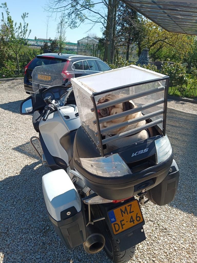 Hond op de motor of fiets!, Motoren, Ophalen of Verzenden