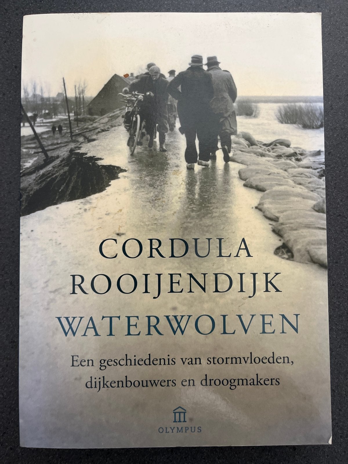 Waterwolven: Stormvloeden, dijkenbouwers en droogmakers, Boeken, Ophalen of Verzenden, 20e eeuw of later, Zo goed als nieuw