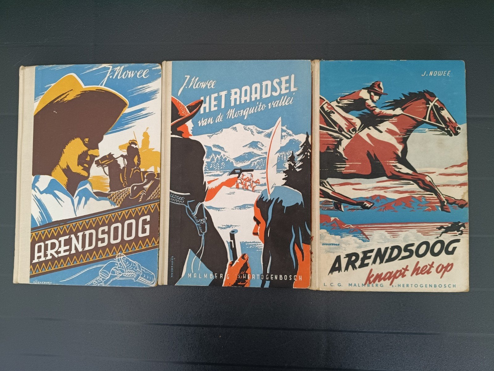 Arendsoog vierkleurenkaft - J. Nowee (3 delen), Ophalen of Verzenden, Gelezen, J nowee