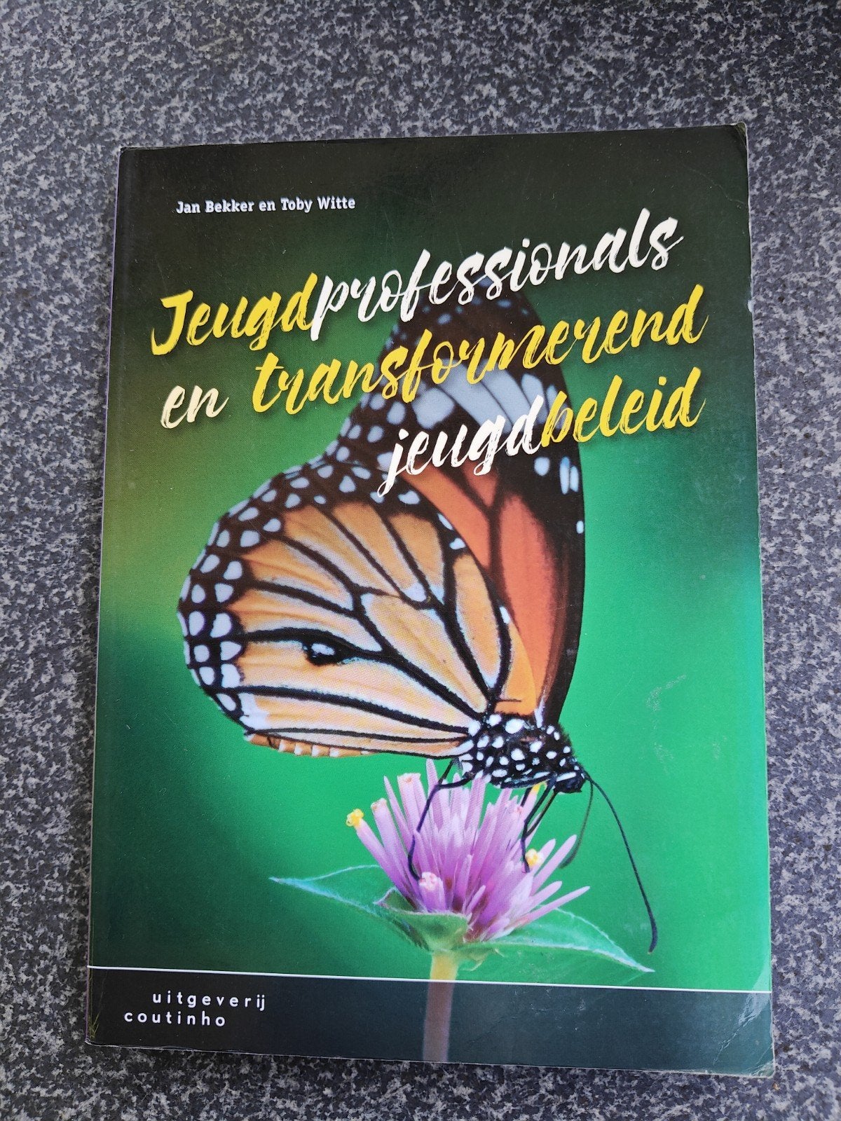Jeugdprofessionals en transformerend jeugdbeleid, Boeken, Zo goed als nieuw, Gamma, Jan Bekker en Toby Witte, HBO