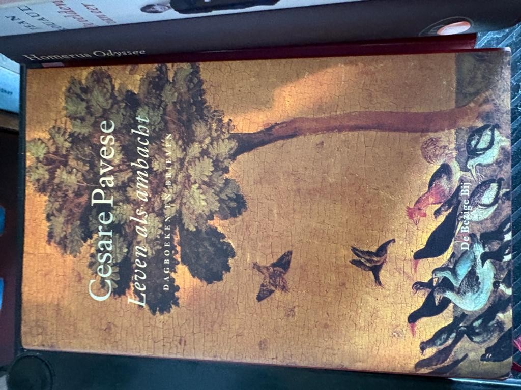 Cesare Pavese - Leven als ambacht (Dagboeken en Brieven), Boeken, Ophalen of Verzenden, Zo goed als nieuw, Europa overig