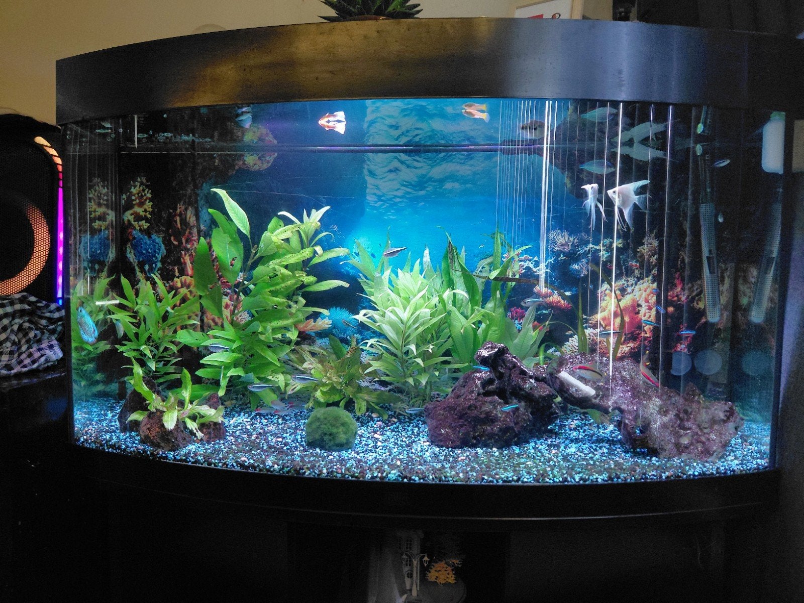 Juwel vision 180 met kras, Ophalen, Gebruikt, Leeg aquarium, Juwel