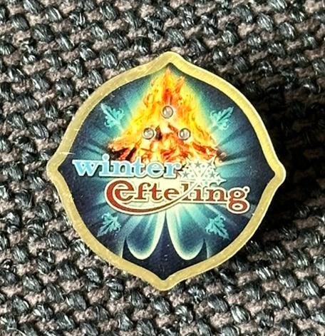 Efteling pin winter 2009, Ophalen of Verzenden, Zo goed als nieuw, Button of Speldje