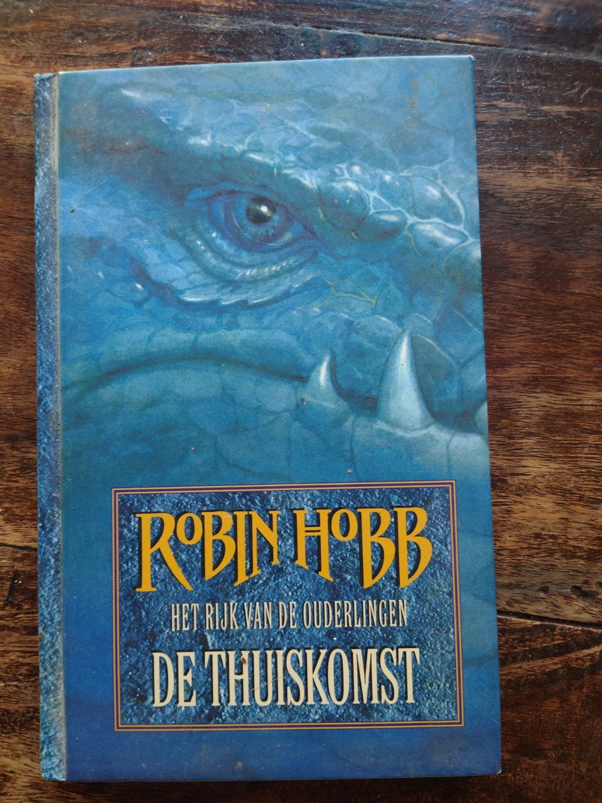 Robin Hobb - Het Rijk van de Ouderlingen: De Thuiskomst, Boeken, Ophalen of Verzenden, Nieuw, Robin Hobb