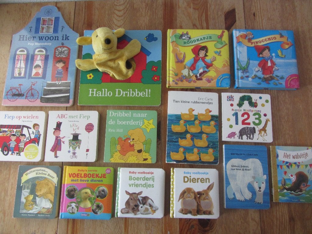 Heel veel kartonboekjes, Ophalen of Verzenden, Gelezen, 1 tot 2 jaar