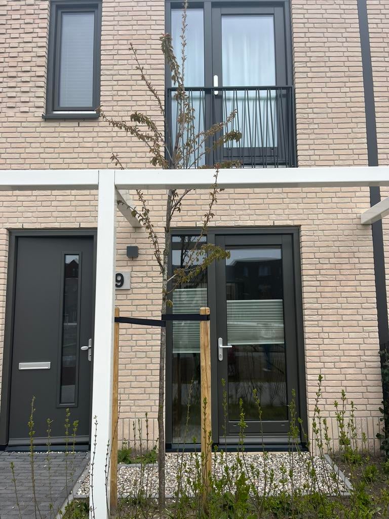 Prunus avium - zoete kers - boompje tuin - kersenboom, Tuin en Terras, Overkappingen, Ophalen, Zo goed als nieuw, Veranda