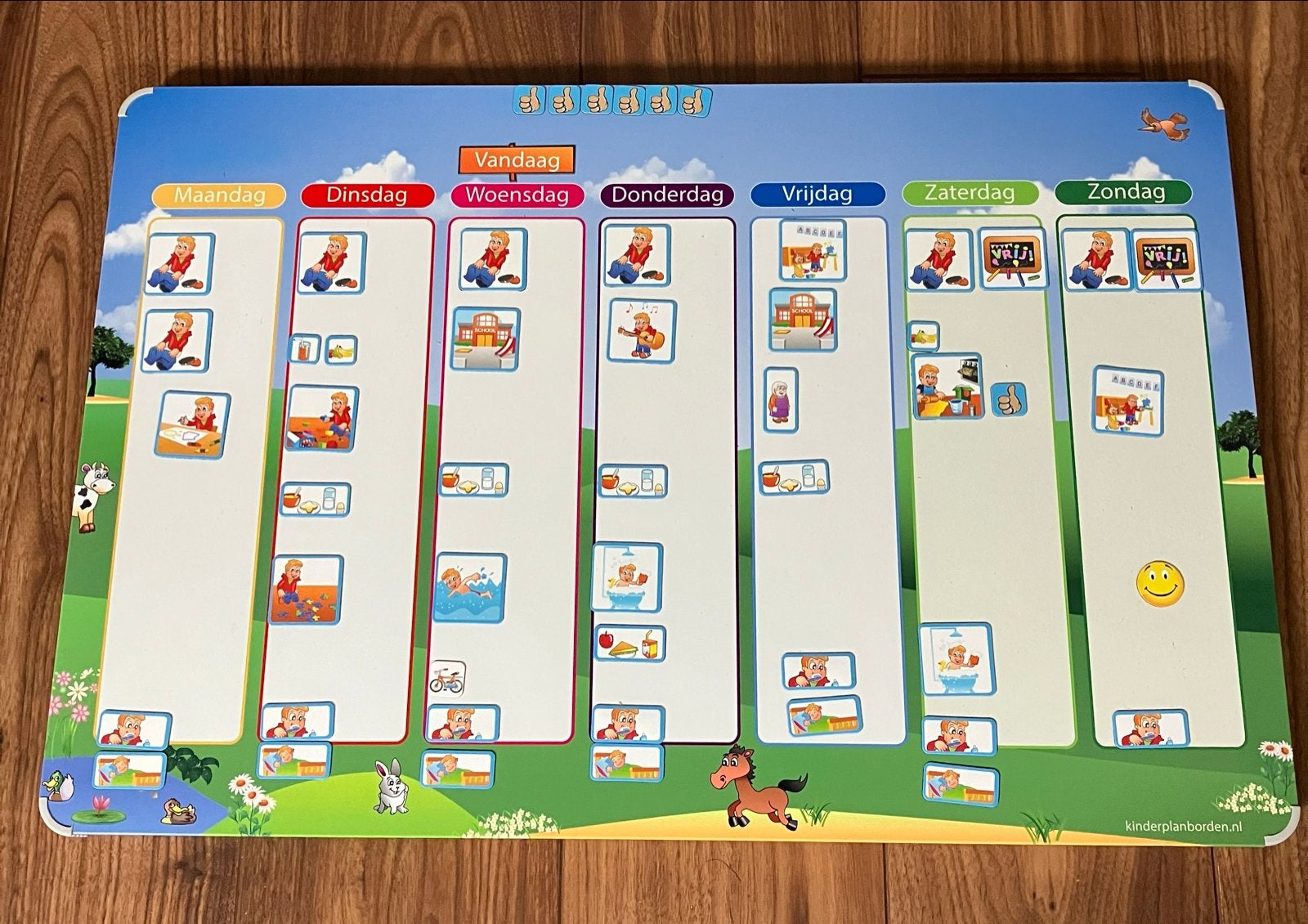 Kinderplanbord met magneten - Dagritme en activiteiten, Ophalen of Verzenden, Gebruikt, Ontdekken