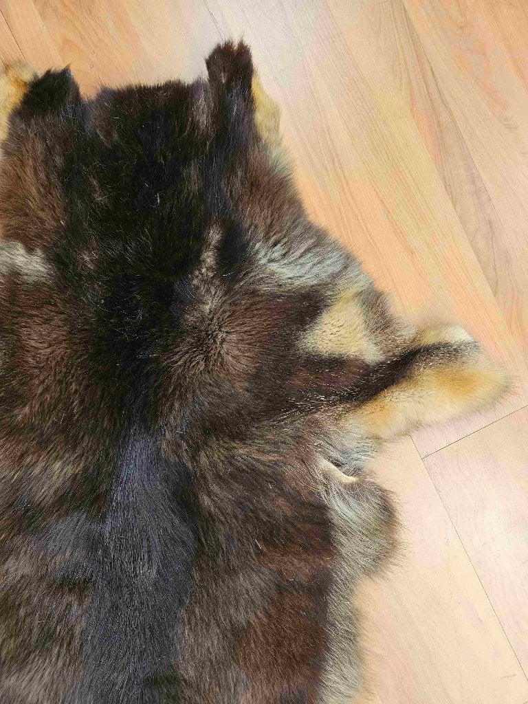 Geitenhuid donkerbruin 110/90 cm, Gebruikt, 100 tot 150 cm, Bruin, Etten-Leur