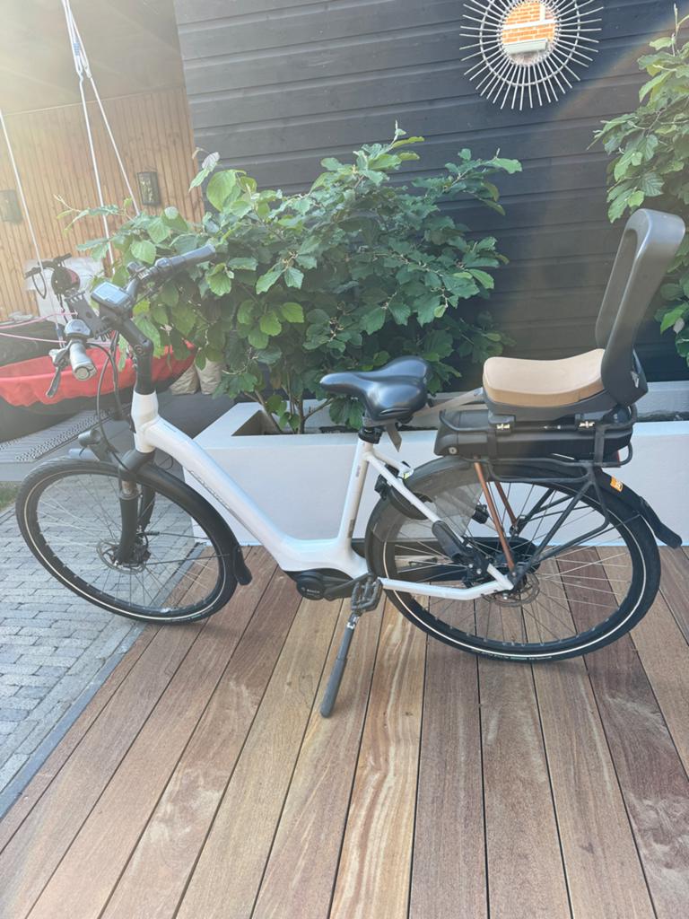 Batavus Finez met Bosch Active Line Plus motor, Ophalen, Gebruikt, 50 km per accu of meer, Batavus