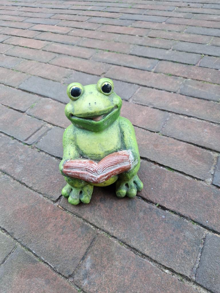 BETONNEN KIKKER, Ophalen of Verzenden, Beton, Dierenbeeld