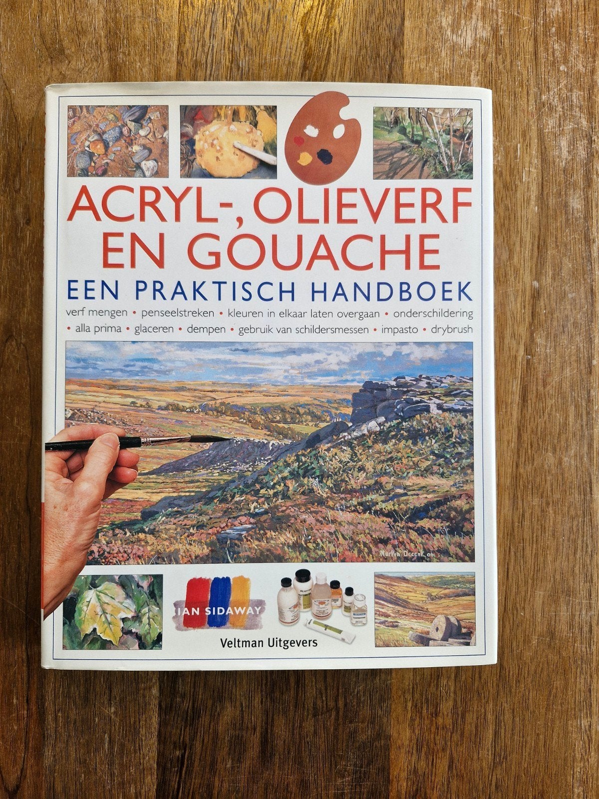 Acrylverf, olieverf & gouache – Ian Sidaway, Boeken, Ophalen of Verzenden, Zo goed als nieuw, Tekenen en Schilderen, Ian Sidaway
