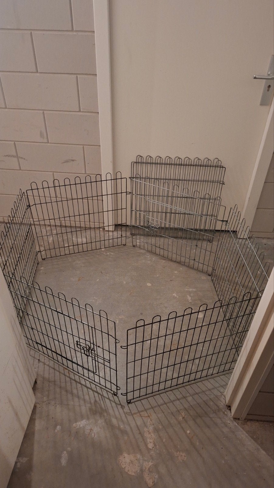 Konijnenren/ knaagdierenren, Ophalen, 110 cm of meer, 60 tot 90 cm, Cavia