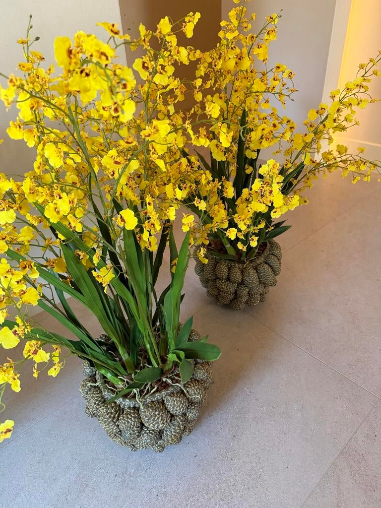 6x Zijden Oncidium Orchideeën Geel - 120cm - Niet van echt, Ophalen, Binnen, Kunstplant, Zijde