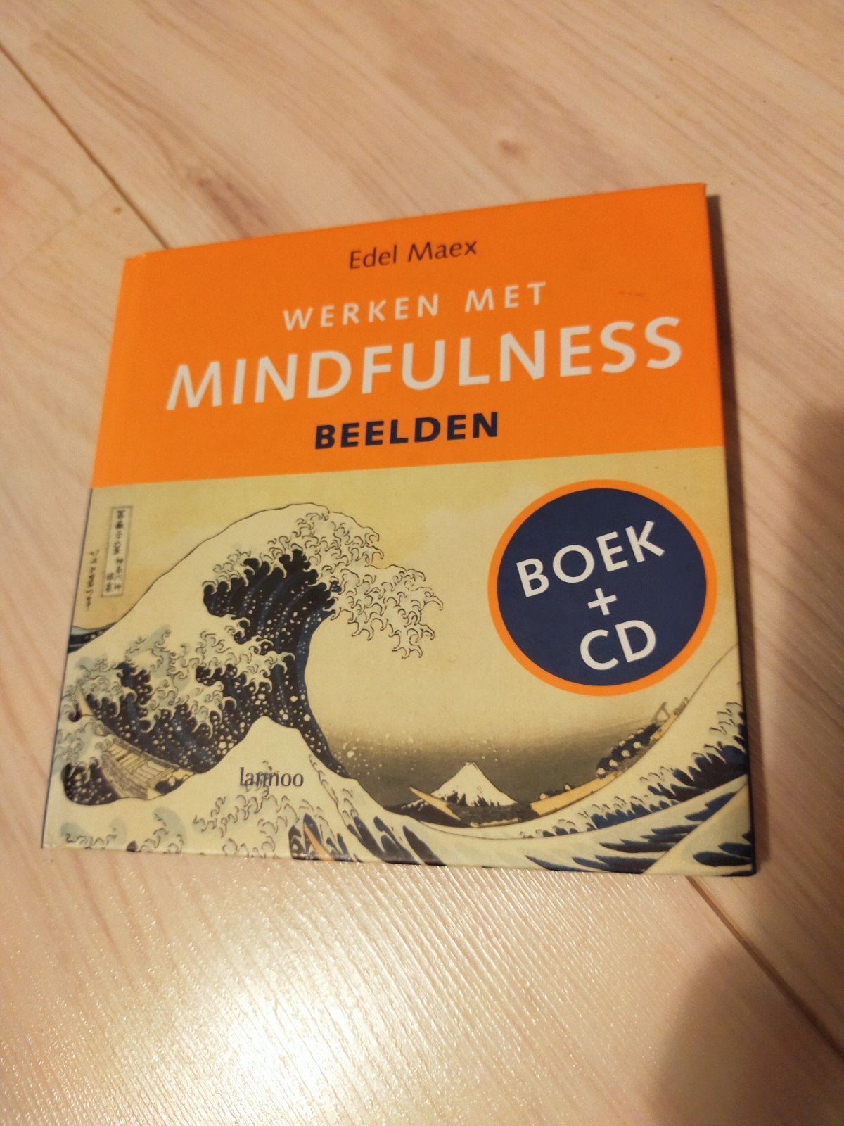 Werken met Mindfulness - Edel Maex (Boek + CD), Boeken, Esoterie en Spiritualiteit, Meditatie of Yoga, Zo goed als nieuw, Instructieboek