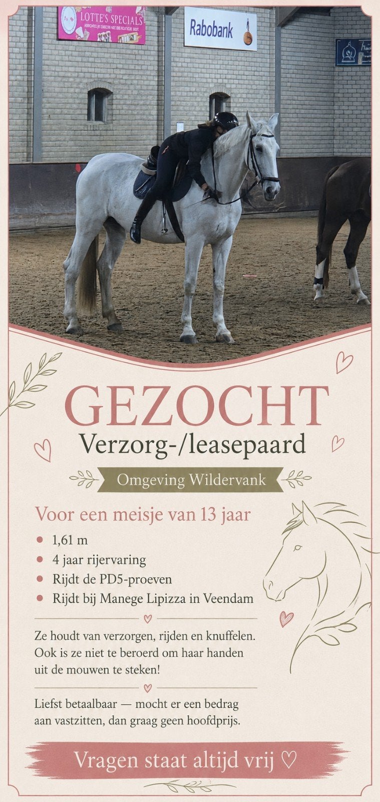 Gezocht: Lease/verzorgpaard, Ophalen of Verzenden