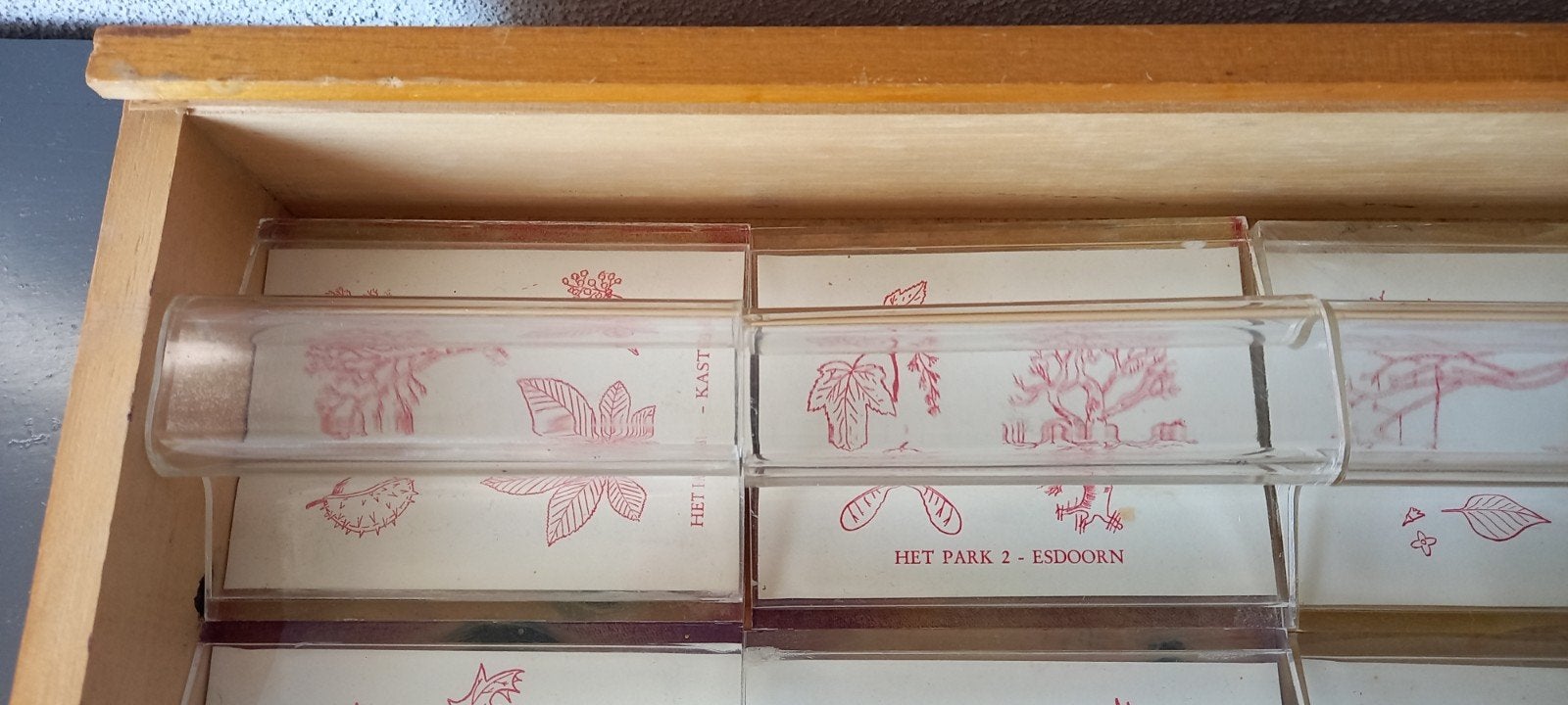 Stempelkist Biologie, Ophalen of Verzenden, Natuur en Biologie