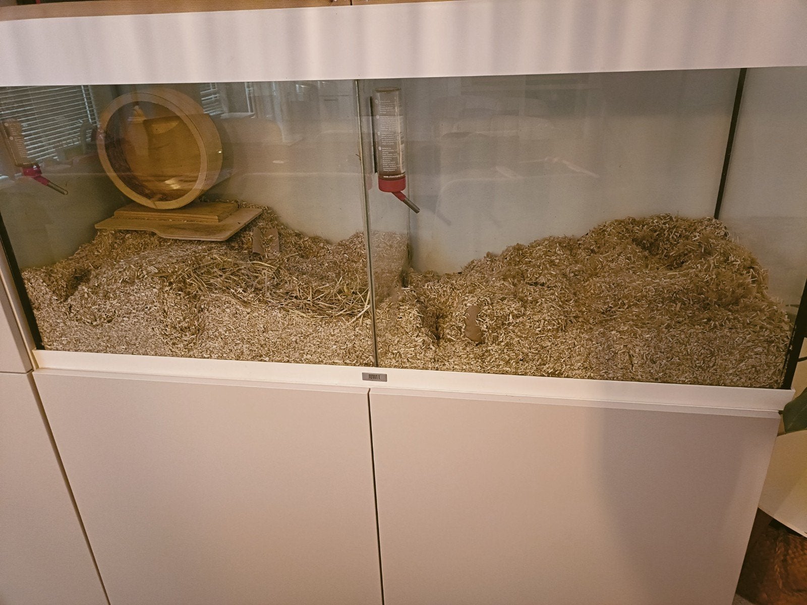 Terrarium zonder dieren, Ophalen, 110 cm of meer, Hok, 90 cm of meer