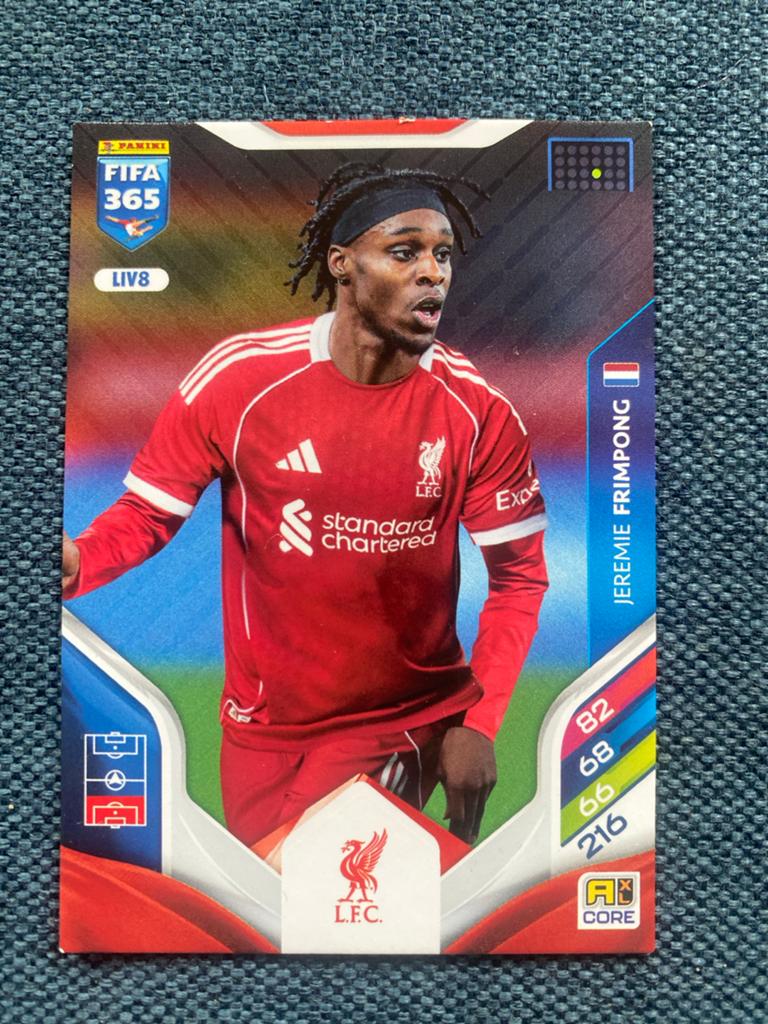 Nederlandse voetbalplaatjes - FIFA 365 Panini, Ophalen of Verzenden, Zo goed als nieuw, Meerdere plaatjes