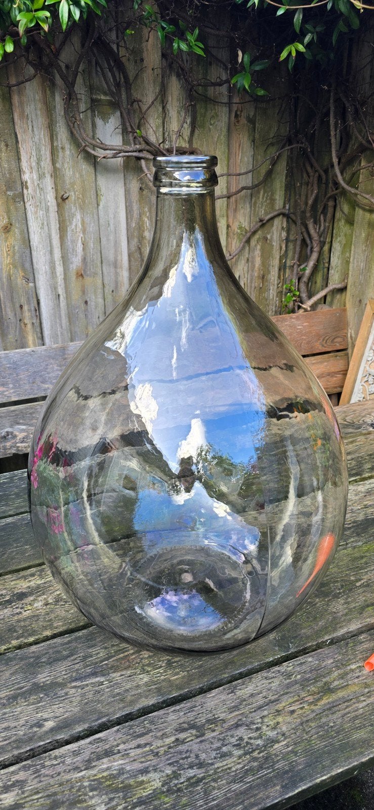 Grote glazen gistingsfles 54 liter – ideaal voor flestuintje, Ophalen