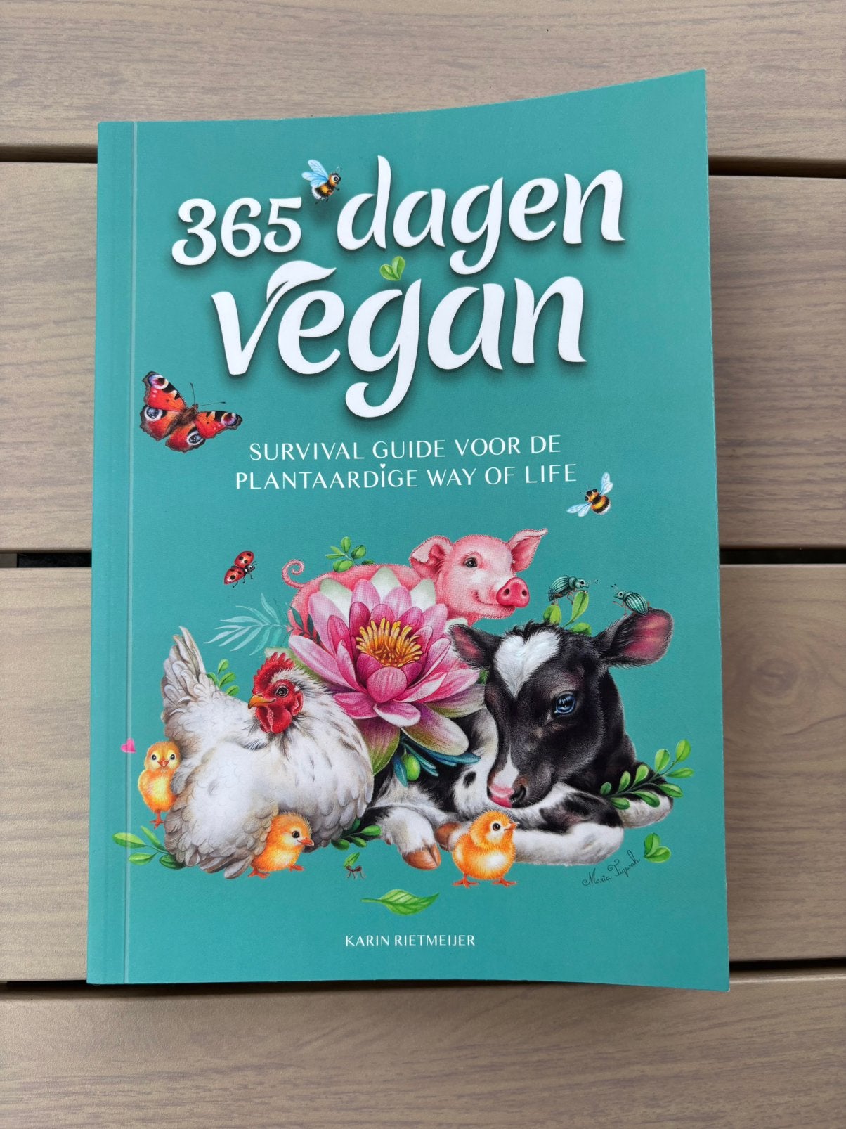 365 dagen vegan - Karin Rietmeijer, Ophalen of Verzenden, Zo goed als nieuw, Nederland en België