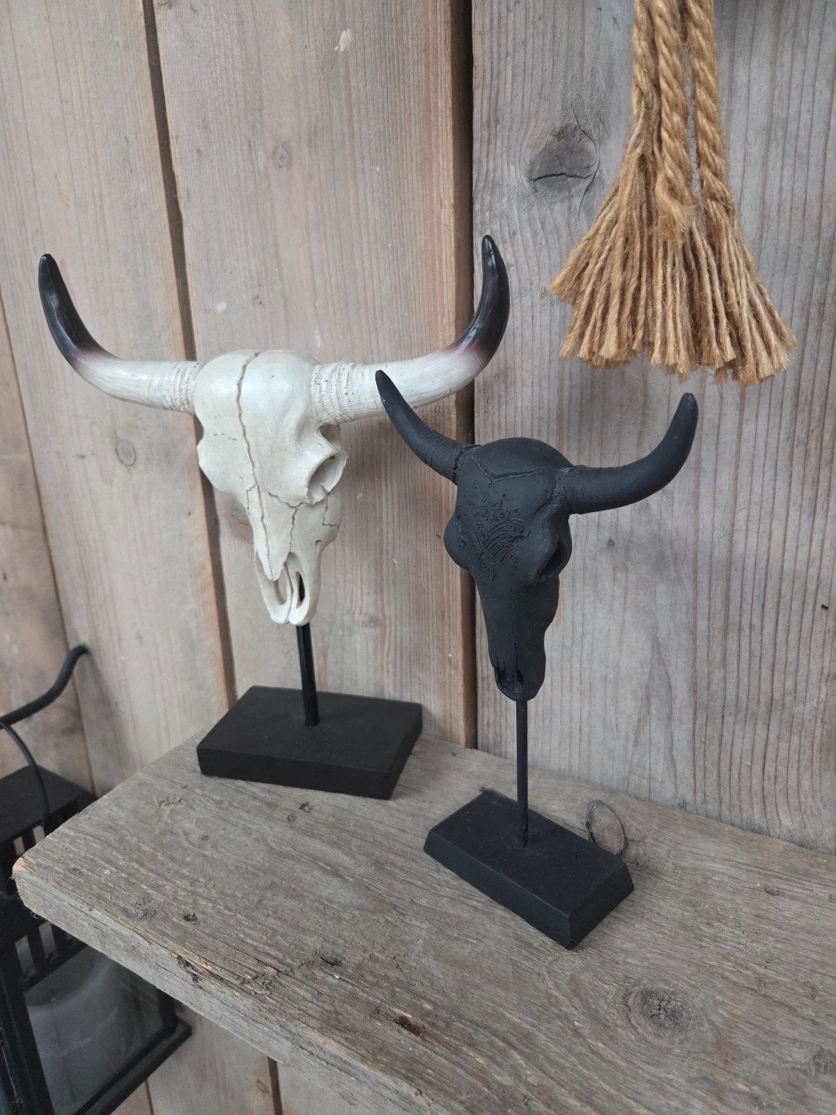 2 imitatie skeletten buffels op zwart standaard, Huis en Inrichting, Woonaccessoires | Wanddecoraties, Decoratieobject, Ophalen of Verzenden