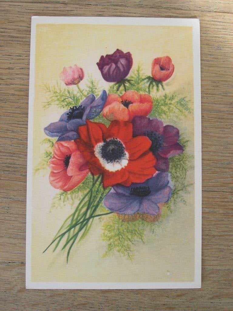 2 oude ansichtkaarten thema bloemen, anemoon en rozen, Ophalen of Verzenden, 1960 tot 1980, Ongelopen, Zuid-Holland