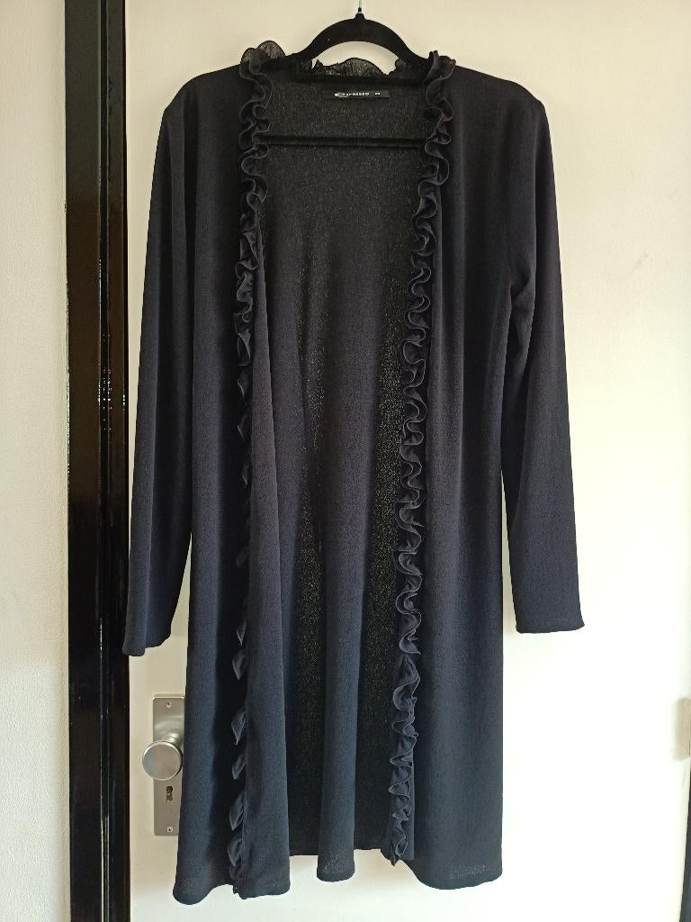 truien/vesten/tuniek  maten L en XL/XXL, Ophalen of Verzenden, Nieuw, Maat 46/48 (XL) of groter, Roze