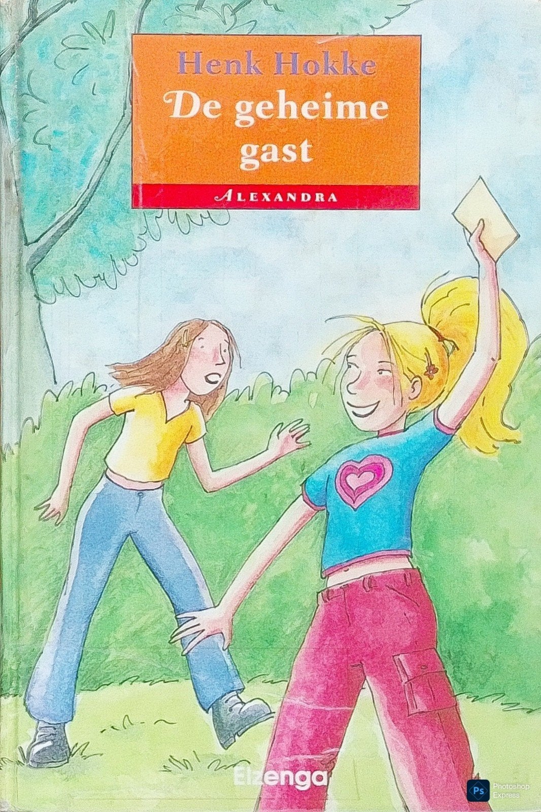 Alexandra De Geheime Gast, Ophalen of Verzenden, Fictie, Henk Hokke., Gelezen