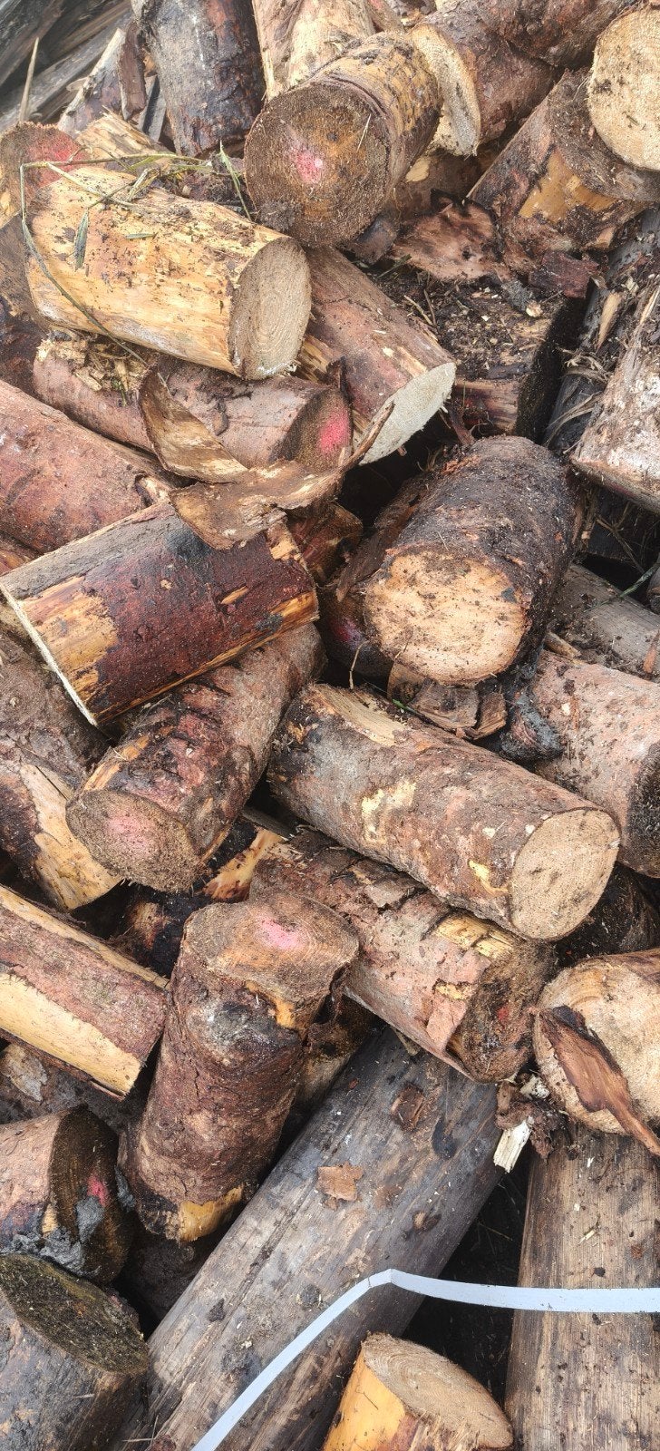 Vers Dennen Haardhout in Blokken - €40,- per Bigbag!, 6 m³ of meer, Ophalen, Overige houtsoorten, Stammen