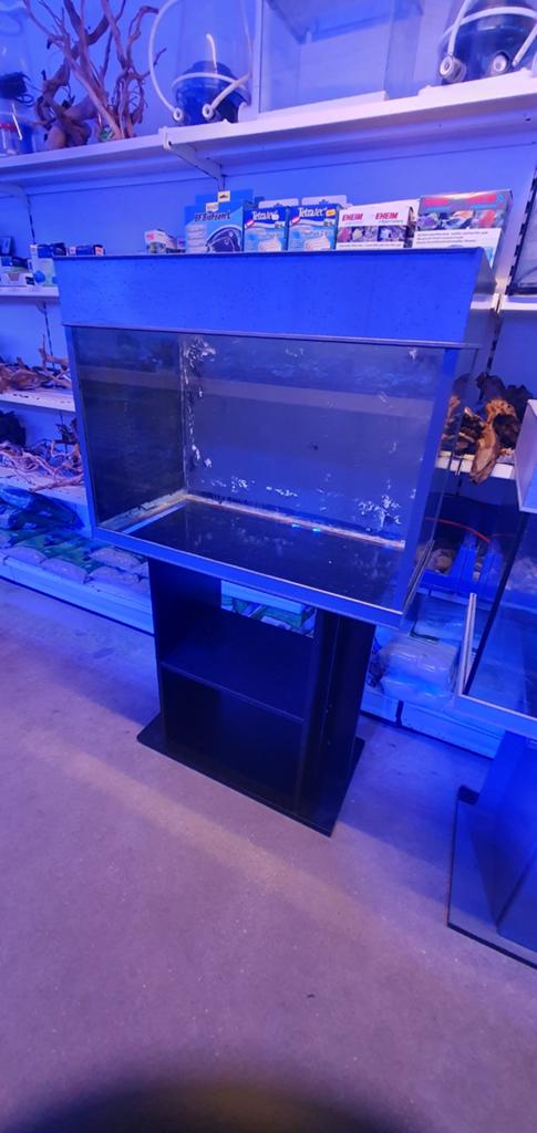 Aquarent/ aquarium, Ophalen of Verzenden