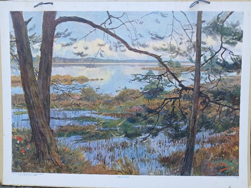Schoolplaat Ven bij Oisterwijk ca. 1930 H.J. Wolter, Ophalen of Verzenden, Natuur en Biologie