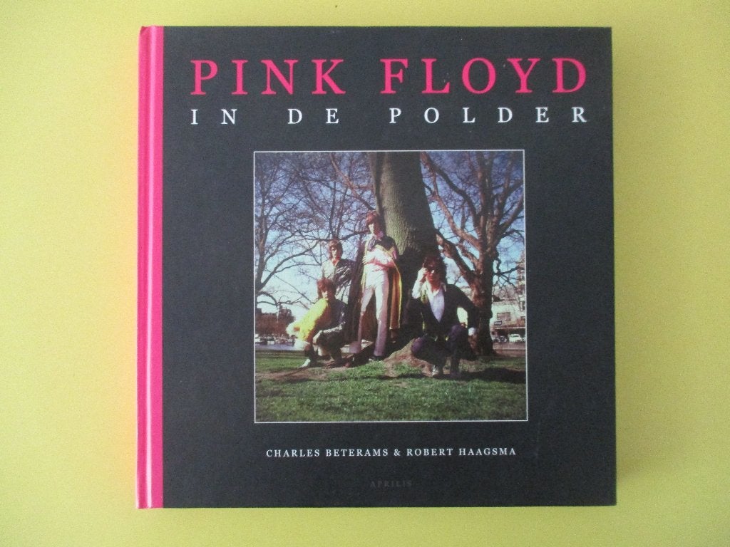 Pink Floyd in de polder ( Charles Beterams/Robert Haagsma ), Ophalen of Verzenden, Zo goed als nieuw, Artiest